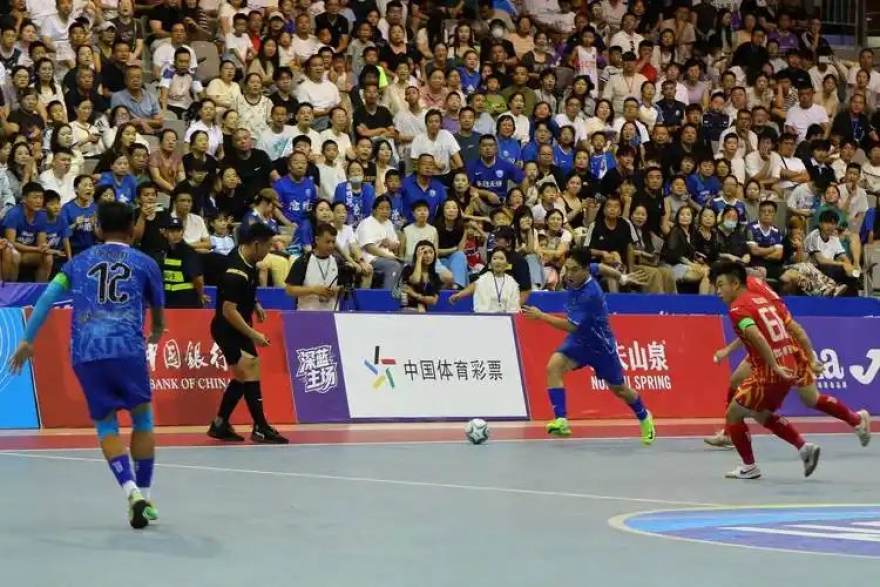 看个比赛 从青训营到职业赛场：一位足球教练的十年观察手记